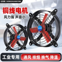 �Ś��ȳ��L�C�����N���������L�ȓQ���ȹ��I�������ø����L�C