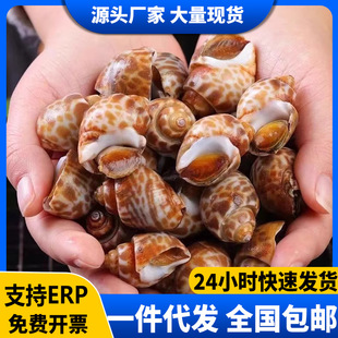 ���ݺ���������r�|�L�����Ʒ��֭�����ؐ��������l���]