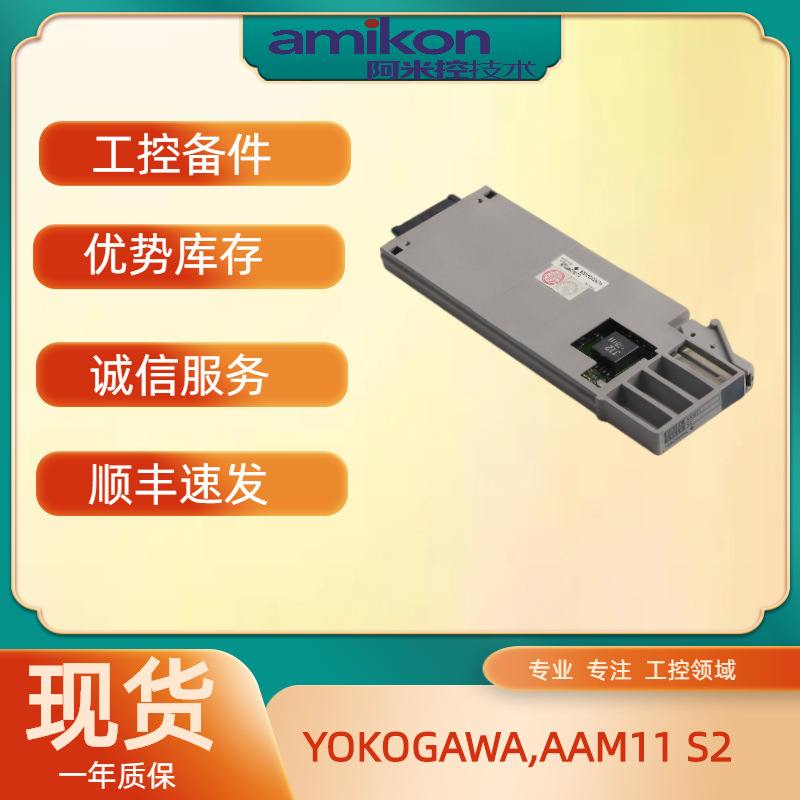 YOKOGAWA,AAM11 S2,16.5x6x1cm,0