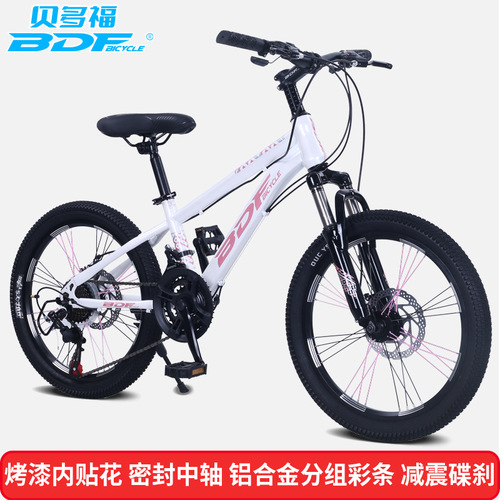 Wholesale Befort BDF Children's Bicycle 20/22/24 inch Mountain Bike for Boys and Girls
