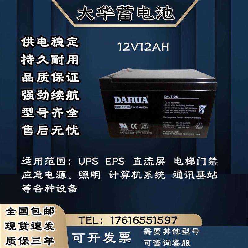 DAHUA大华蓄电池12V12AH 直流屏 电梯门禁 消防 UPS电源主机