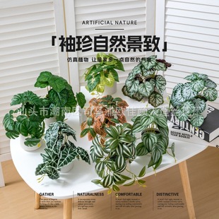 �羳����Gֲ3D��ӡ���������Լٻ��ҾӾƵ��҃��bڒ�����ֲ��