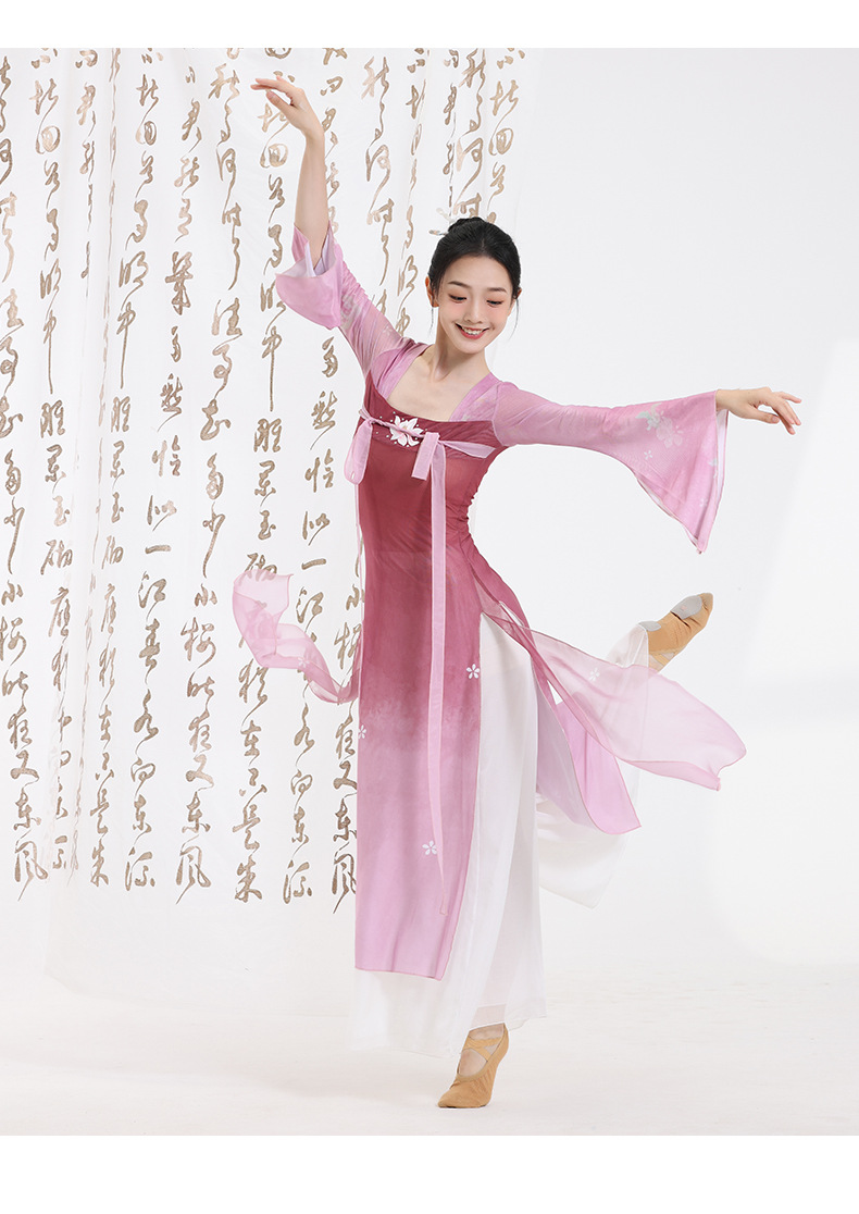 芙帛古典舞舞蹈服女汉服齐胸飘带长款身韵纱衣中国舞演出服装刺绣-阿里巴巴