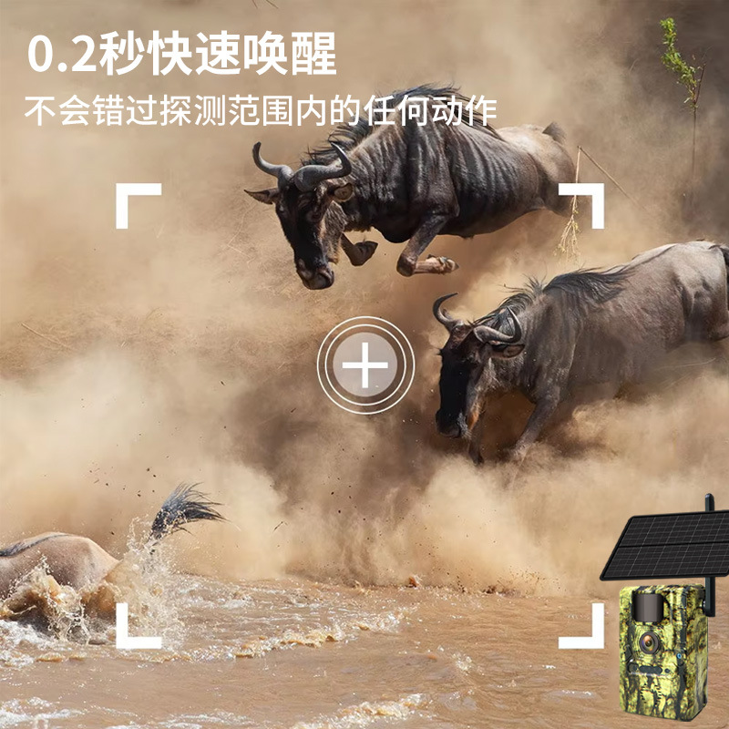 Camuflaje explosivo al aire libre a prueba de agua caza cámara infrarroja HD también es una cámara de video rastreador de monitoreo de animales salvajes