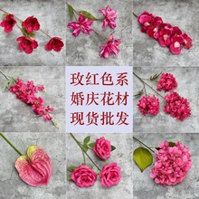 ���滨õ�tɫϵ�ҾӾƵ��b���Y���û��İٺ�õ��ٻ��������l