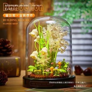 ѹӢݘܽػeľ[ƴbŮնY