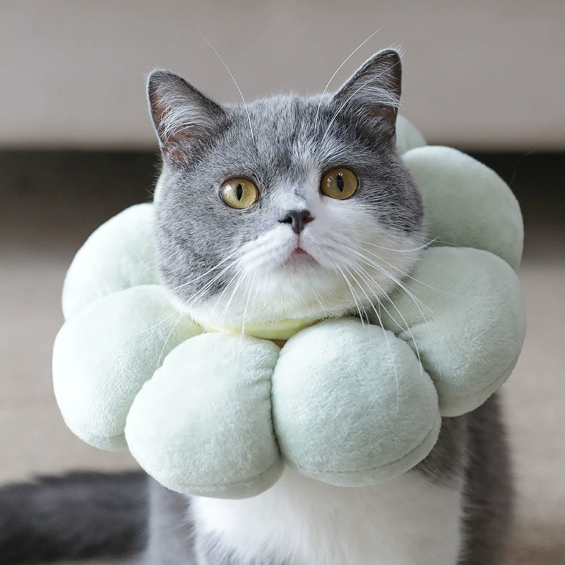 Домашнее животное Милая кошка гарнитура кольцо Элизабет Регулируемая кастрированная крышка шеи анти-лизать Стигма кольцо водонепроницаемый