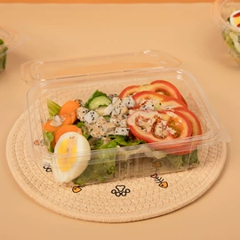 一次性餐盒;一次性碗碟;外卖餐饮包装