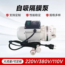 电动隔膜泵工业用耐腐蚀酸碱化工泵溶液加注车用尿素泵防爆真空泵