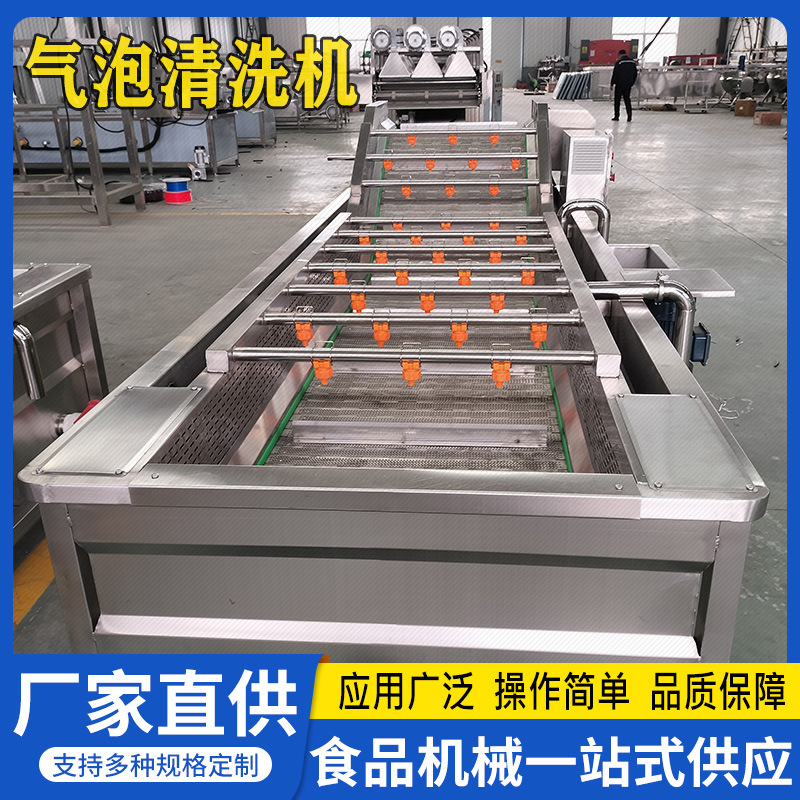 全自动气泡清洗机叶菜类果蔬清洗设备萝卜生姜气泡清洗机输送线
