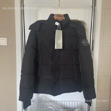 Q¿_Zq޷29ɿ˷ëIůA