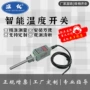 液体电子温度智能控制器