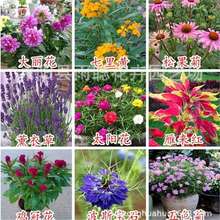 ���羳��؛�����N�� ̫ꖻ����ɝM���ǰ��ղݺ��B�P�ɻ���˹�ո�