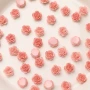 小号少女春夏美甲山茶花