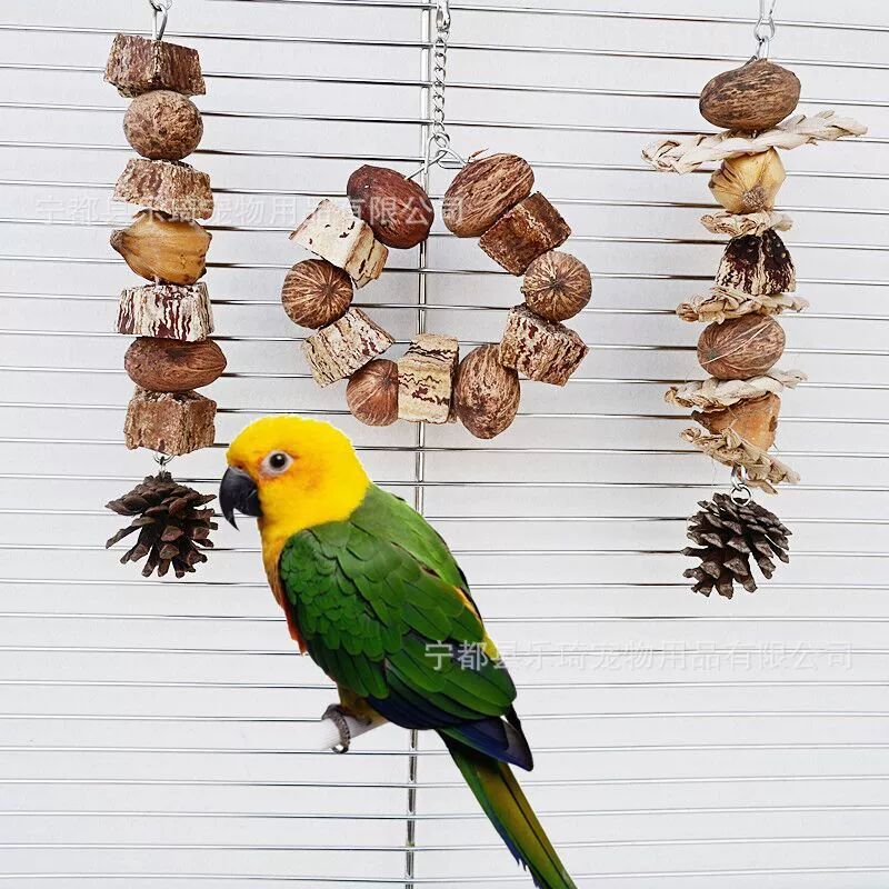 Попугай кусает забавные игрушки