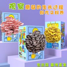 Ģ�����b���ӶY�жY�������Bֳʳ�þ��Nƽ�����bĢ���Nֲ��Ģ��