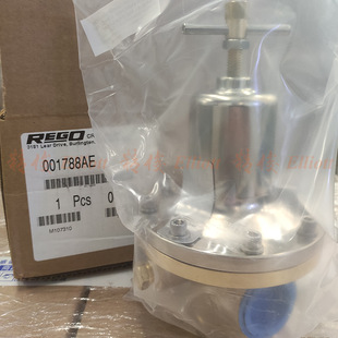 ����rego����1788CE��Ȼ���{����������̼�p���yҺ����ܵ��{���y