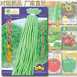 优选七叶长豆角种子 约60粒 丰产豇豆籽 长角豆种子 蔬菜种子批发