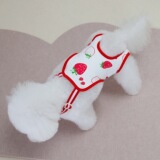 Физиологичные штаны, летняя физиологичная клубника, домашний питомец, кот