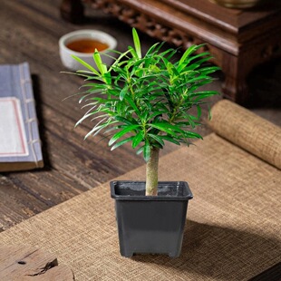 �Ϙ��_�h���辰�쾰�k��������W�t�Gֲ�����ļ����B�����՚�ֲ��