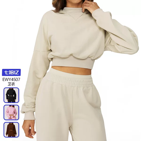 Cross-Border Fashion Hooded Sweatshirt Autumn and Winter Casual Loose Versatile Jacket Women's Outdoor Running Fitness Sportswear 4507