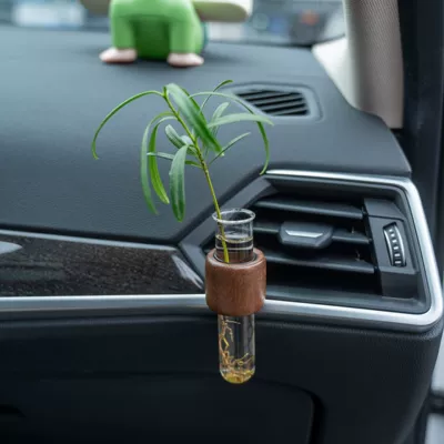 Outlet Vase Flower Arrangement Aromatherapy: Car ornaments