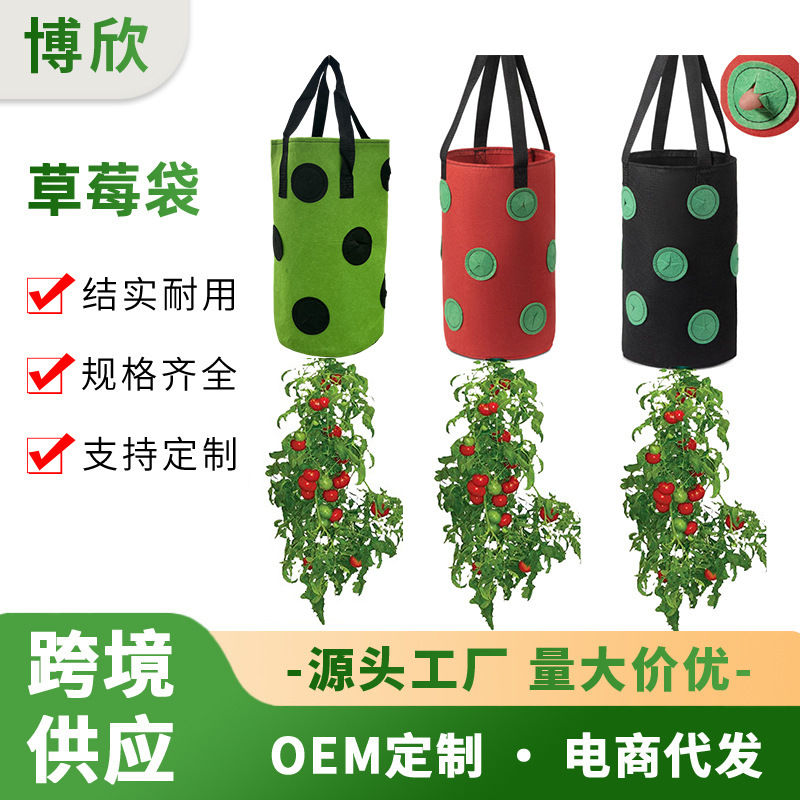 跨境爆款13孔草莓种植袋底部有孔悬挂式美植袋吊挂式草莓种植袋