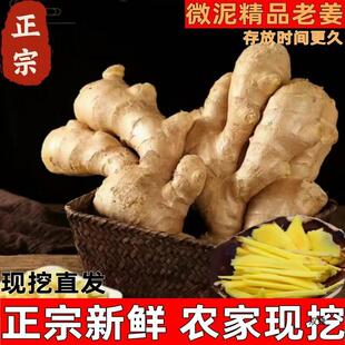 山东大姜老姜生姜月子姜风干姜现挖鲜姜新鲜老黄姜3斤5斤包邮-阿里巴巴