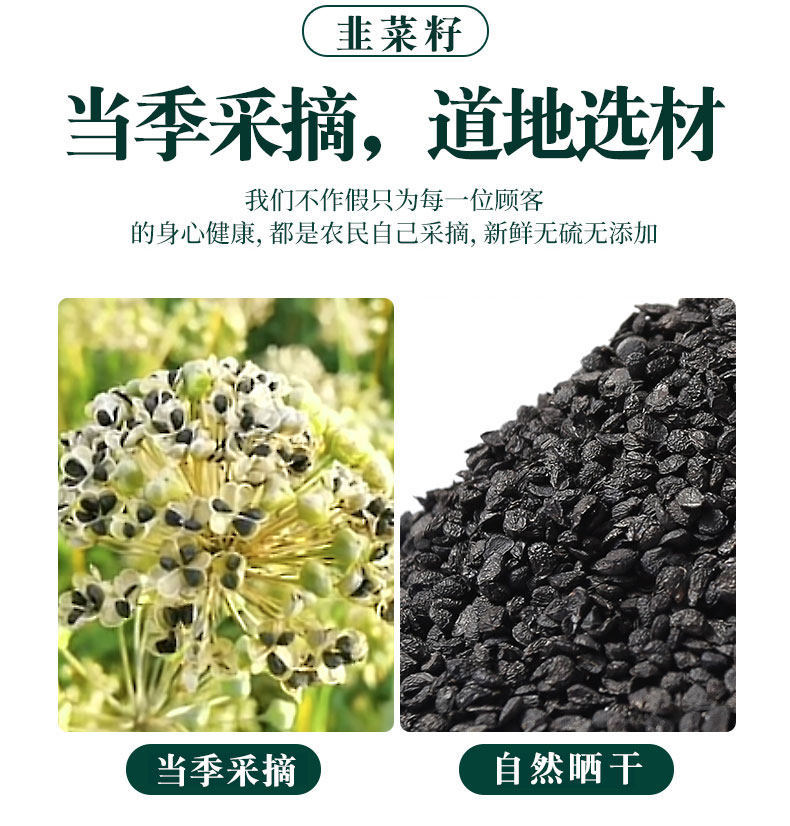 Chinese Chive Seed Tea Jiu Cai Zi Wild Leek Seeds Dried Herbal Seeds for Tea Wine Infusion 500g overview