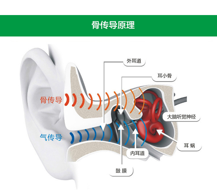 3399741056_1644265163
