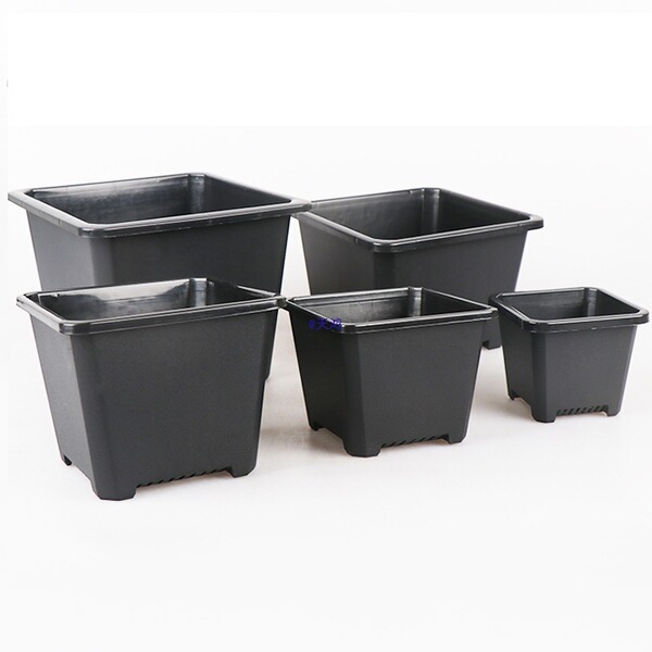 Square black white flowerpot flower-shaped