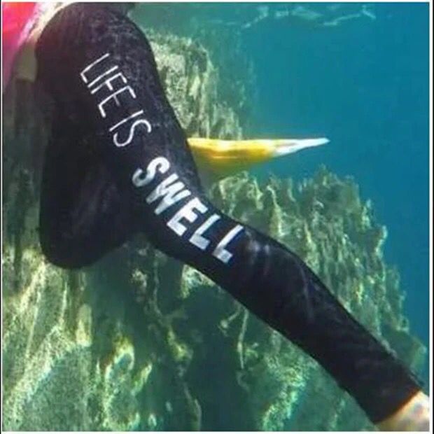 ED00C392DBB931852EC24FFEB58A21