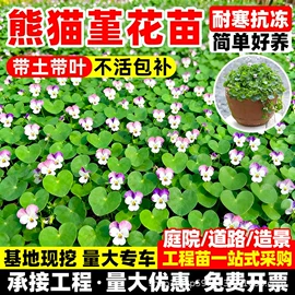 盆栽;园林果树;灌木