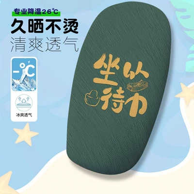 Pure Cowhide Electric Vehicle: Electric car cushion - xiaoxin-series-6-cushion