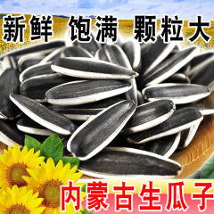 生瓜子大颗粒内蒙古五原生葵花籽33新货饱满葵花籽生瓜子