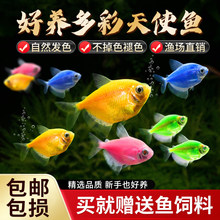 ��ʹ�~�^�p�~��̖�ᎧС�ͻ��~�߲ʺ��B�ͻˮ��ȸ���������~��