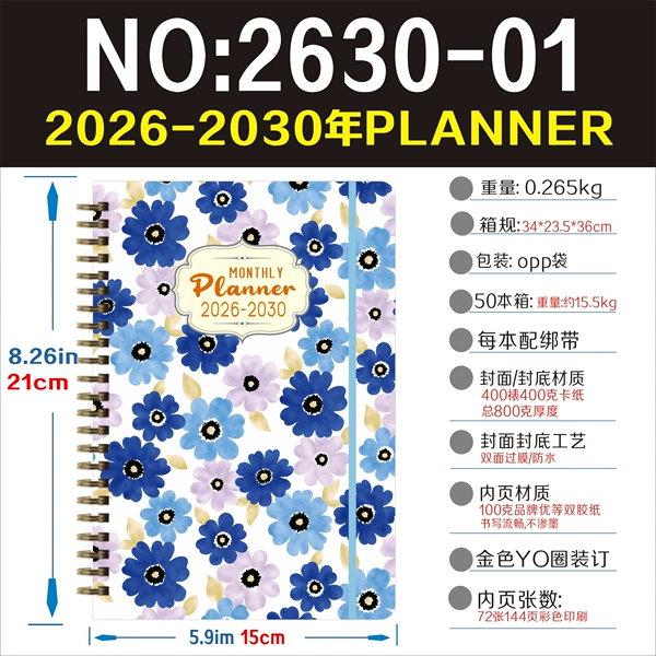 01--5 years--2026-2030 plan