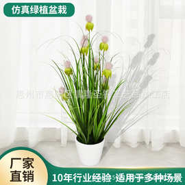 仿真蔷薇盆栽芦苇草仿真花套装家居装饰假绿植婚庆布景小盆栽批发