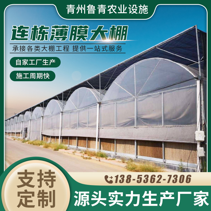 连栋薄膜温室 蔬菜瓜果阳光连栋温室大棚 连拱温室种植观光大棚