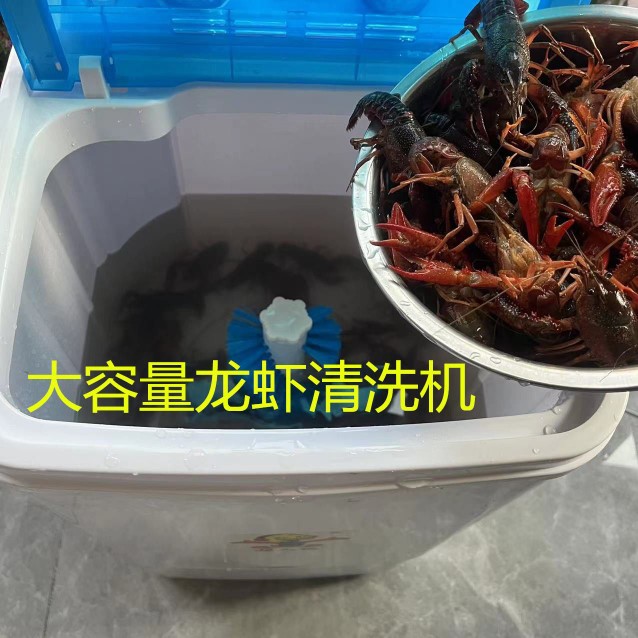 드래곤 세탁기 세탁 가능 2.5-5kg