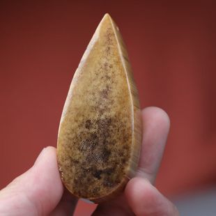 ��ëϬˮ���Ƶ����ρ�ţ��ƽ���o���ƒ�� Ҏ��81*33*33mm