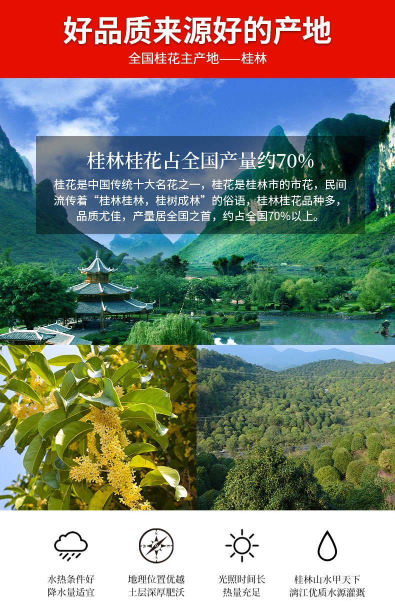 金粟桂花详情_06