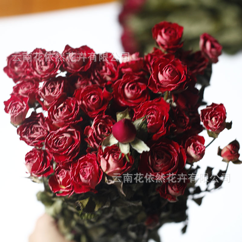 Flor seca Flor eterna Gypsophila Bola de oro No me olvides Flor seca Rosa hoja de eucalipto Pine Fruit Lover Grass al por mayor