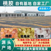 ���z���z���zѩ��������ѩɏ��Դ�^�a�ػ��ع��Sһ��؛Դ��؛���l