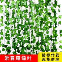 �羳���R�d��������ٗl���쳣���ټ٘��~���ϻ�ֲ��Ғ��b����l