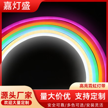 跨境110V柔性圆形户外防水硅胶6*12低压12V高压220V霓虹led灯带条