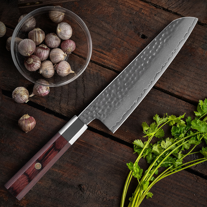 Cuchillo de cocina de acero de Damasco de 8 pulgadas con mango de madera de colores, cuchillo de chef estilo japonés, cuchillo para cortar carne, cuchillo de cocina Yangjiang con envío transfronterizo