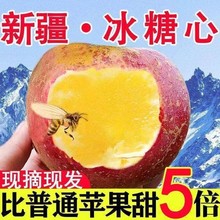 新疆冰糖批发红富士新鲜阿克苏当季新鲜水果心一斤丑苹果整箱包邮