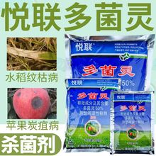 上海悦联多菌灵苹果炭疽病水稻纹枯病农药杀菌剂整箱正品批发包邮