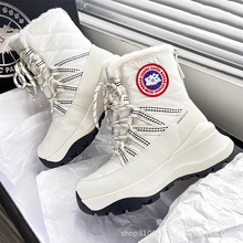 ѩѥŮ2025¿ӽqӺ񶬼ˮůѥɽѩЬ